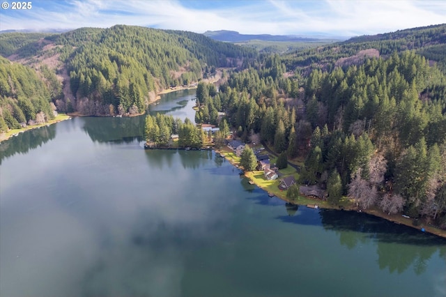 10056 Beach Dr, Birkenfeld, OR 97016 - aerial view of property and surrounding area featuring a heavily wooded area and a water and mountain view