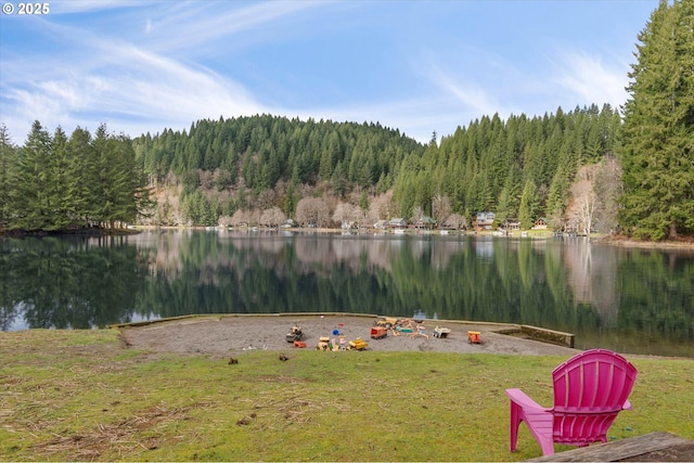 10056 Beach Dr, Birkenfeld, OR 97016 - water view featuring a forest