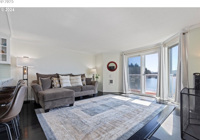 living room with dark wood-type flooring, ornamental molding, a textured ceiling, and a water view