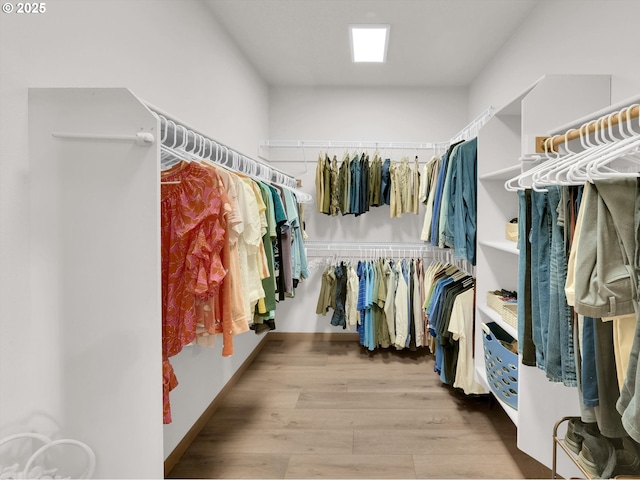 walk in closet with wood finished floors