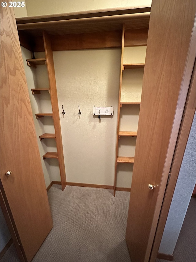 view of closet