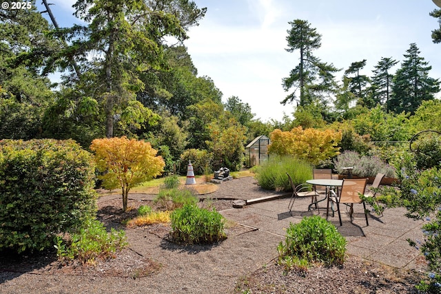 1588 20th St, Florence, OR 97439 - view of yard featuring an exterior structure, an outbuilding, and a patio