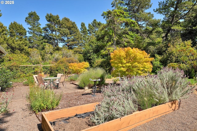 1588 20th St, Florence, OR 97439 - view of yard with a patio