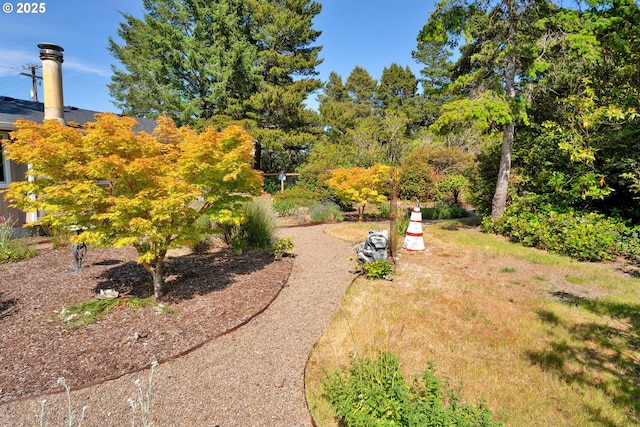 1588 20th St, Florence, OR 97439 - view of yard
