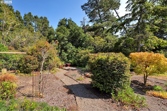1588 20th St, Florence, OR 97439 - view of yard