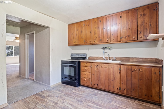 254 Humphrey Addition Rd, Glendale, OR 97442 - kitchen featuring black range with electric cooktop, a sink, light wood-style floors, and brown cabinetry