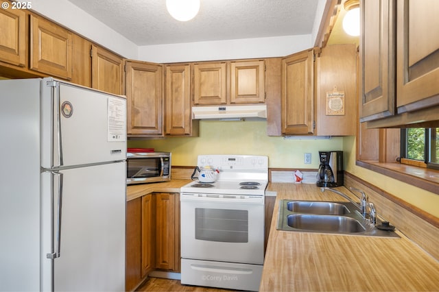 kitchen with white appliances, under cabinet range hood, a sink, light countertops, and brown cabinetry