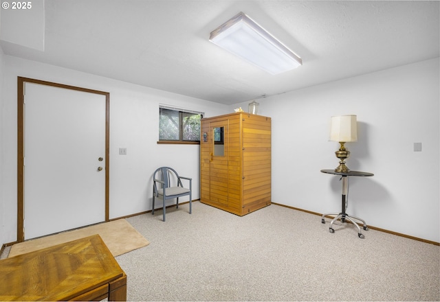 basement with light colored carpet and baseboards