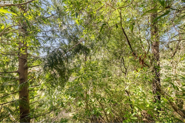 view of undeveloped land
