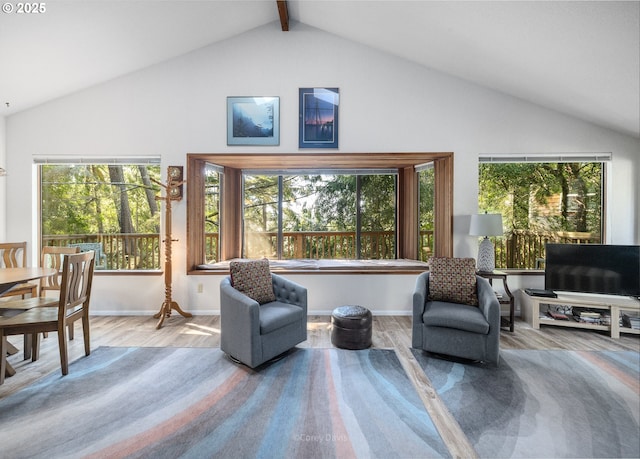 sitting room featuring plenty of natural light, wood finished floors, baseboards, and high vaulted ceiling