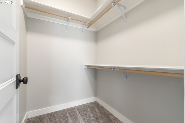 3237 Wildflower Dr, Springfield, OR 97478 - spacious closet featuring carpet floors