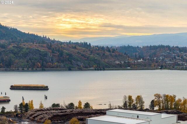 1027/1012 SE Oak St, White Salmon, WA 98672