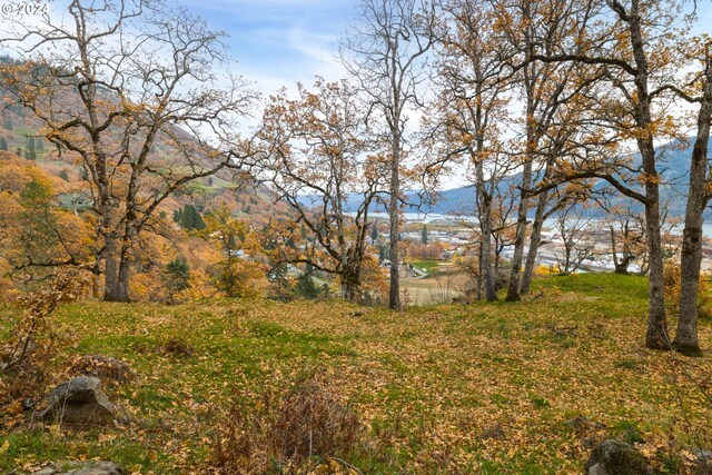 1027/1012 SE Oak St, White Salmon, WA 98672