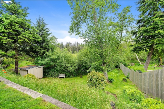 view of yard featuring a storage unit