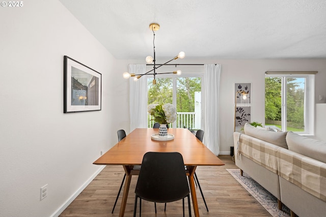 dining room with a chandelier and light hardwood / wood-style flooring