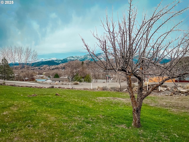 537 NW Charolais Hts, John Day, OR 97845 - view of green lawn featuring a mountain view