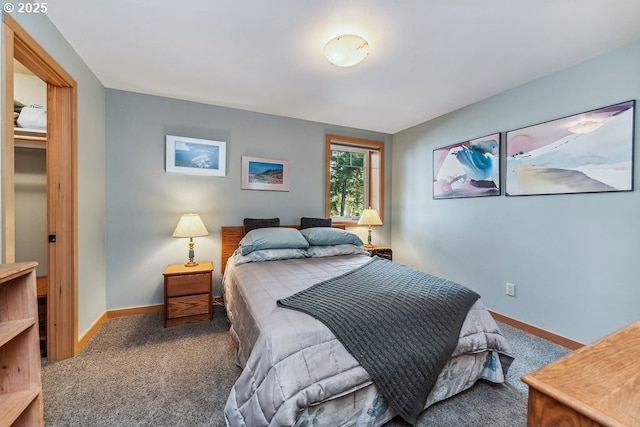 bedroom with baseboards and carpet flooring