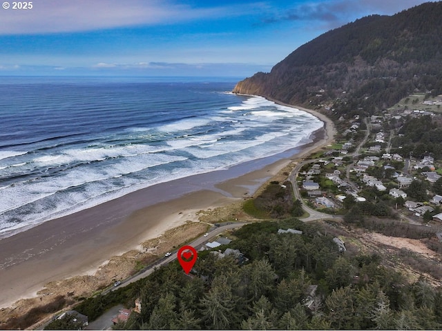 water view featuring a beach view