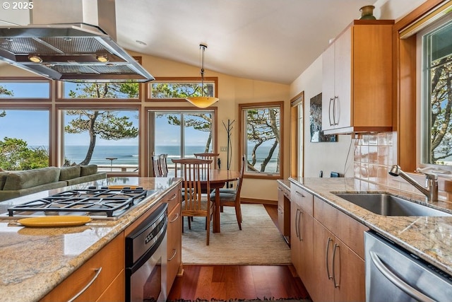 kitchen with dark wood-type flooring, lofted ceiling, appliances with stainless steel finishes, island exhaust hood, and a sink