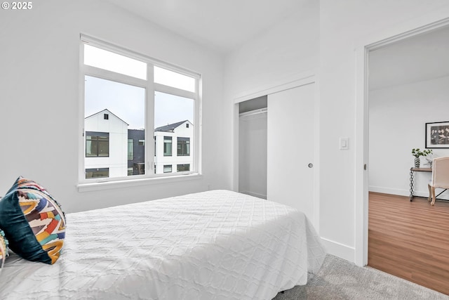 bedroom featuring carpet flooring, multiple windows, and a closet