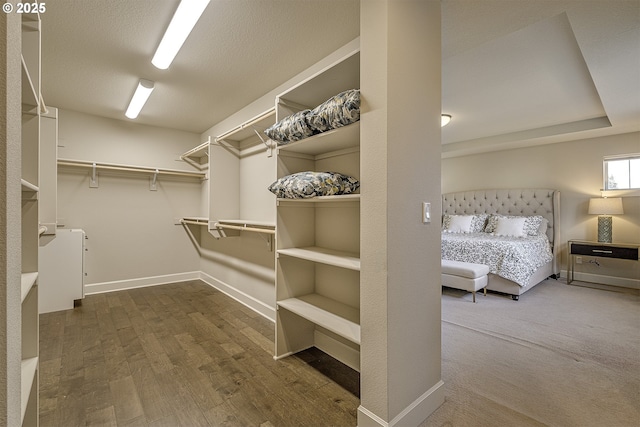 walk in closet with wood-type flooring