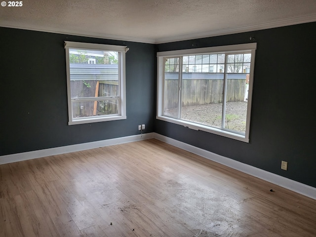 spare room featuring crown molding, wood finished floors, and a textured ceiling