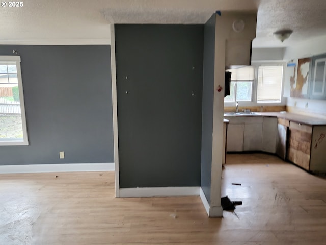 kitchen with baseboards, plenty of natural light, and light wood-style flooring