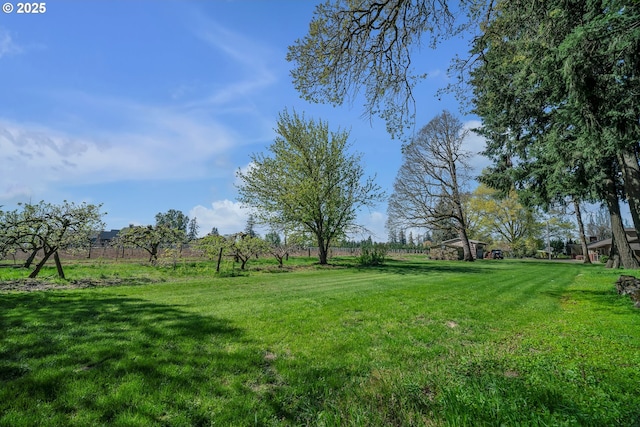 view of yard featuring a rural view