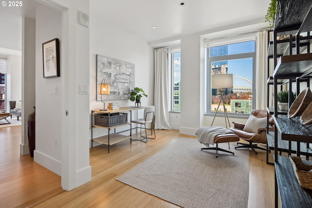 living area featuring baseboards and wood finished floors