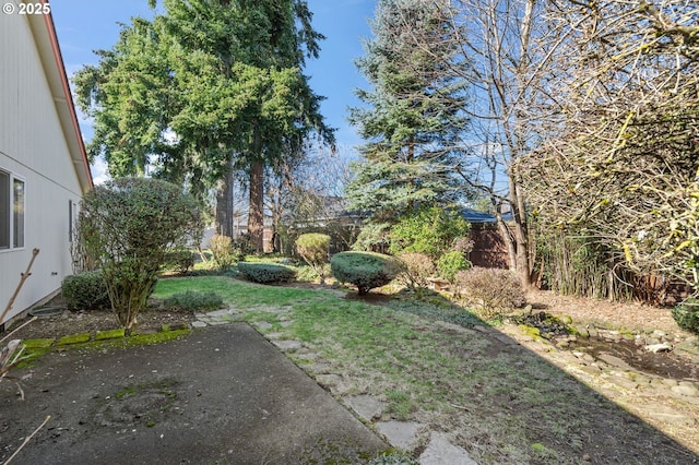 view of yard featuring a patio area