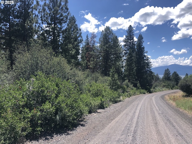 Margi Way Unit 8, Chiloquin, OR 97624
