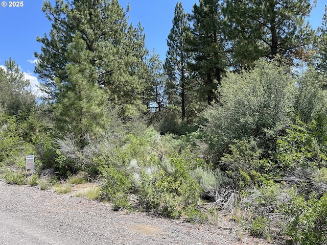 Margi Way Unit 8, Chiloquin, OR 97624