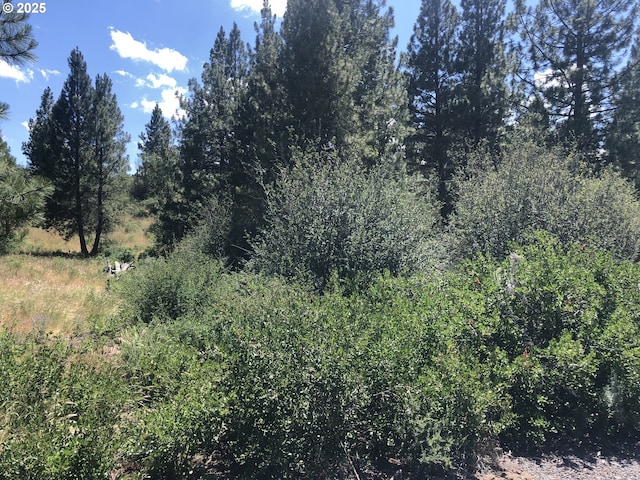 Margi Way Unit 8, Chiloquin, OR 97624