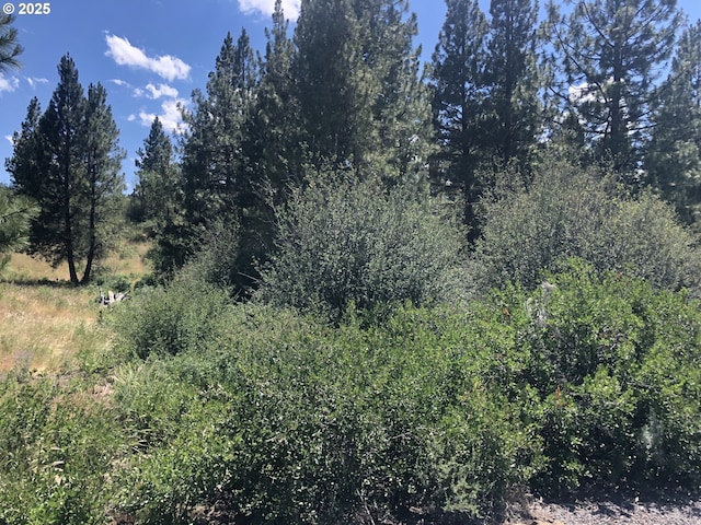 Margi Way Unit 8, Chiloquin, OR 97624