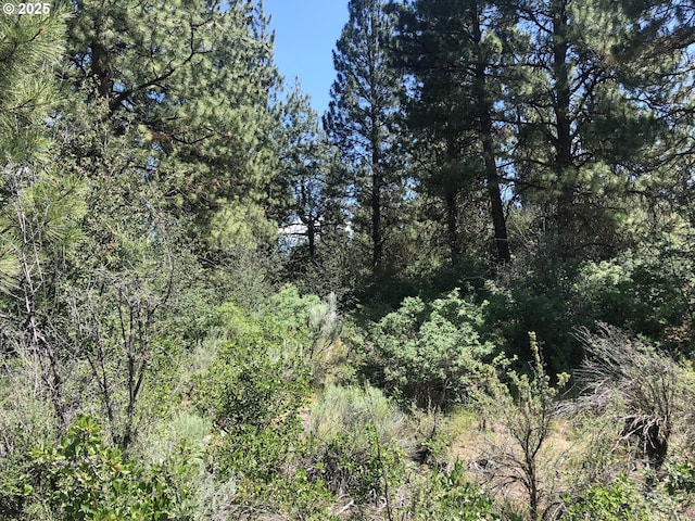 Margi Way Unit 8, Chiloquin, OR 97624