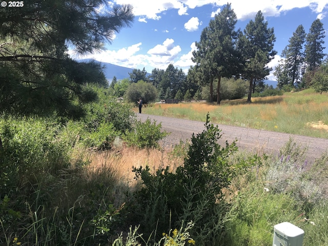 Margi Way Unit 8, Chiloquin, OR 97624