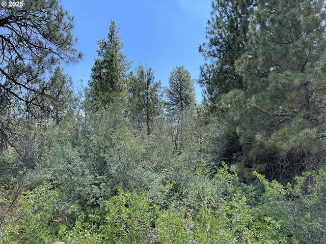 Margi Way Unit 8, Chiloquin, OR 97624
