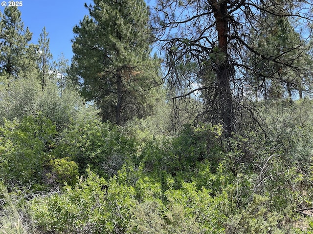 Margi Way Unit 8, Chiloquin, OR 97624