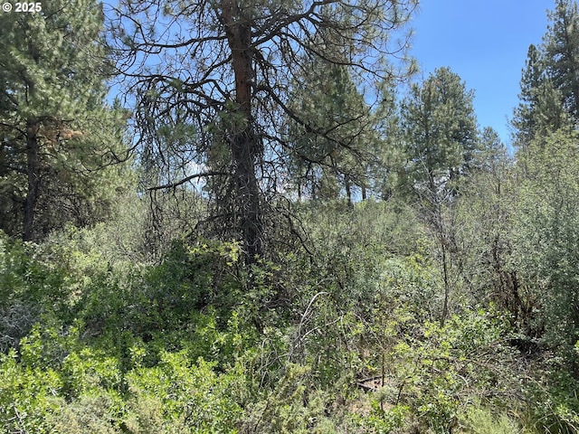 Margi Way Unit 8, Chiloquin, OR 97624