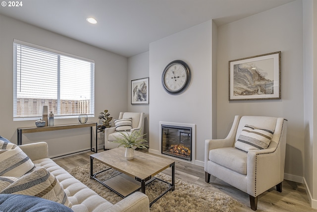 living room featuring light hardwood / wood-style flooring