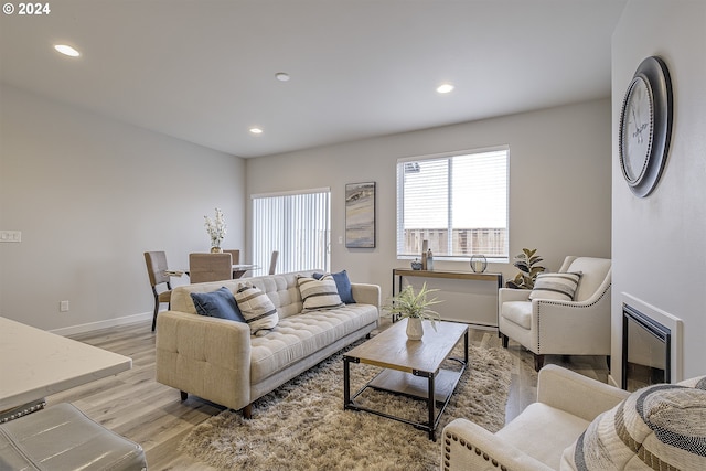 living room with a fireplace and light hardwood / wood-style flooring