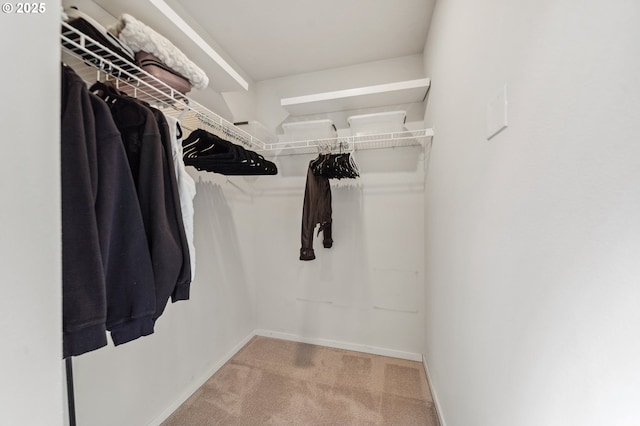 walk in closet featuring carpet