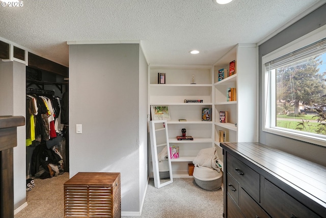 walk in closet with light colored carpet