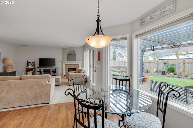 dining room featuring a tiled fireplace, visible vents, and light wood-style floors