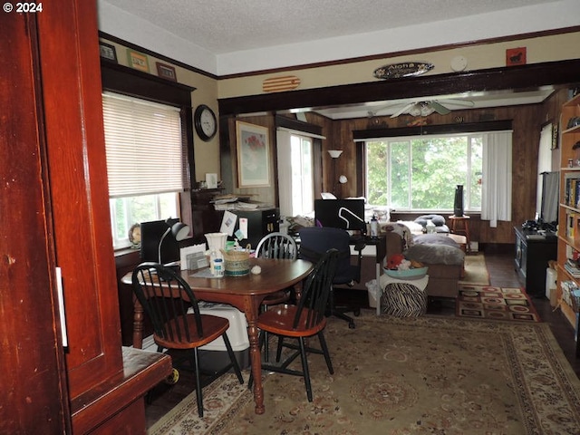 dining area featuring a healthy amount of sunlight and a textured ceiling