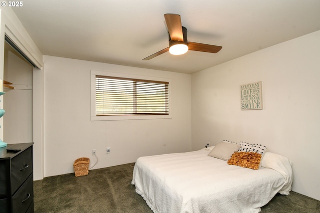 bedroom with ceiling fan, dark colored carpet, and a closet