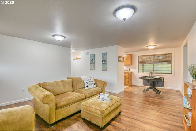 living room with baseboards and wood finished floors