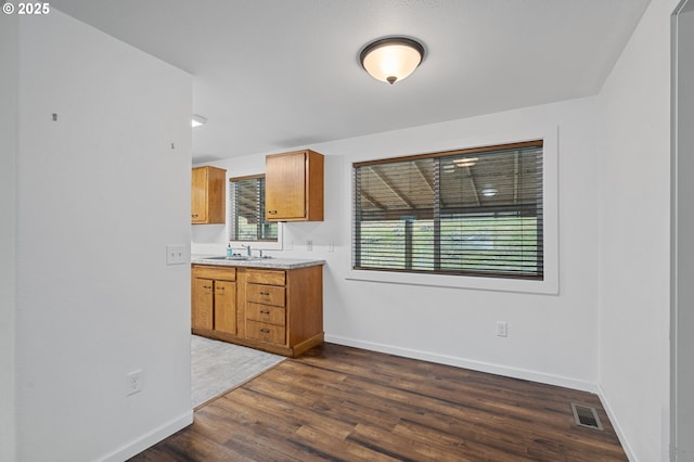 kitchen with dark wood-type flooring and sink