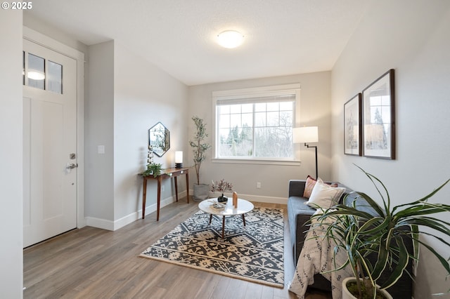 sitting room featuring baseboards and wood finished floors