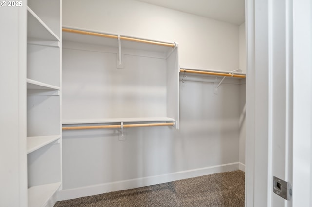 walk in closet featuring carpet